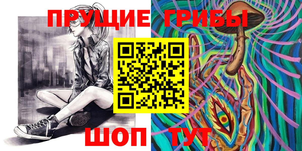 Заречный  Галлюциногенные грибы Psilocybine cubensis  Вход с VPN 