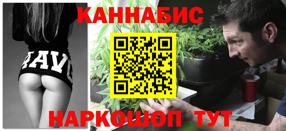 Марихуана семена  Каннабис индика  Заречный  Бошки марихуана Bruce Banner  Вход с VPN 
